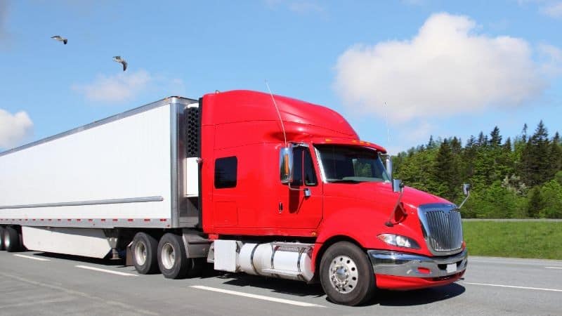 A red semi-truck with a white trailer is parked on the roadside with trees and a partly cloudy sky in the background. Two birds are flying above the truck.